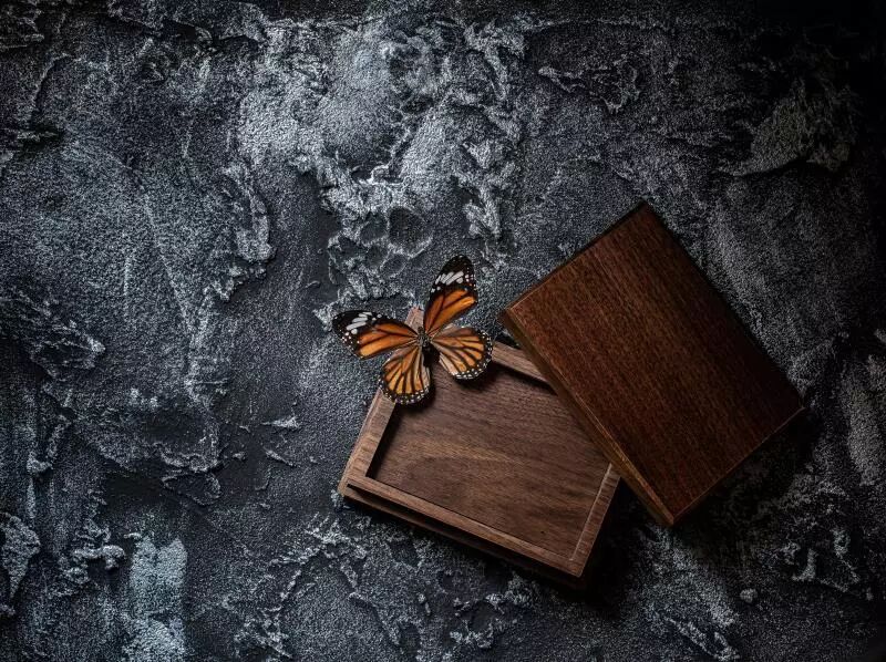 Butterfly Box By Joe Deng