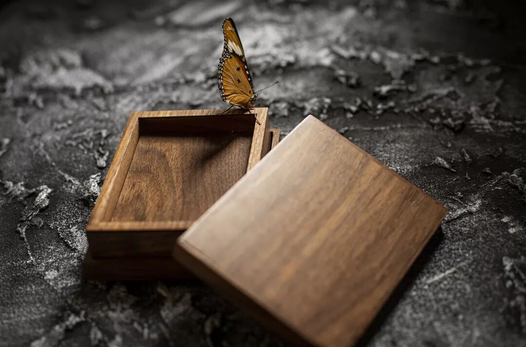 Butterfly Box By Joe Deng