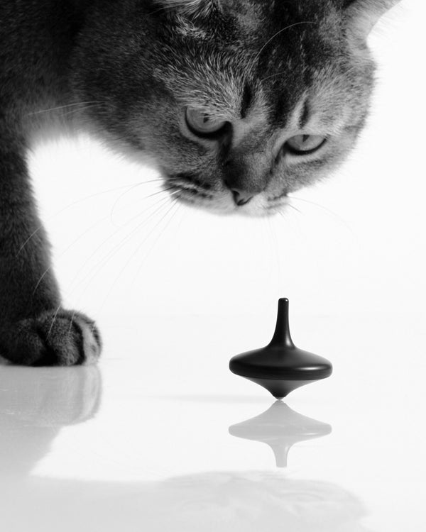 FAQ decorative image